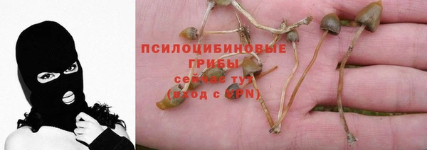 прущие крисы Михайловск
