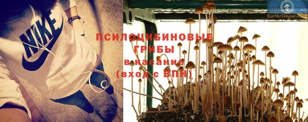 spice Михайлов