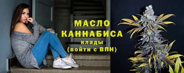 spice Михайлов
